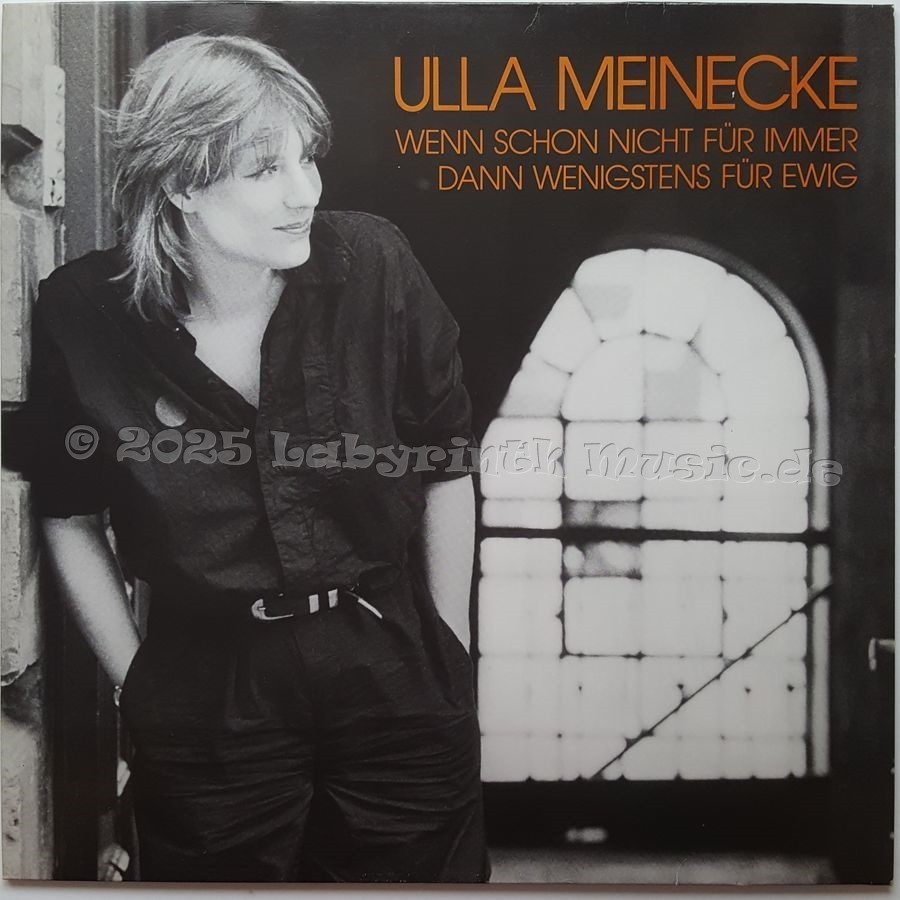 Ulla Meinecke - Wenn Schon Nicht Für Immer Dann Wenigstens Für Ewig • 12" Vinyl LP • NM - Labyrinth Music