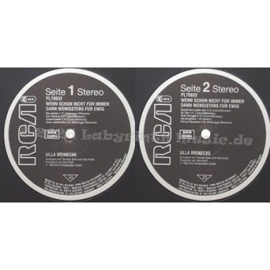 Ulla Meinecke - Wenn Schon Nicht Für Immer Dann Wenigstens Für Ewig • 12" Vinyl LP • NM - Labyrinth Music