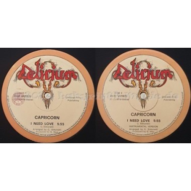 Capricorn - I Need Love • 12" Vinyl Maxi - Labyrinth Music