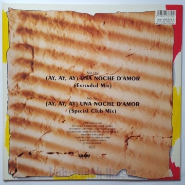 Deborah Sasson - (Ay, Ay, Ay) Una Noche D'amor • 12" Vinyl Maxi • MINT - Labyrinth Music