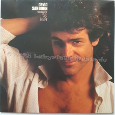 David Sanborn - Straight To The Heart • 12" Vinyl LP • NM - Labyrinth Music