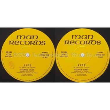 George Gray - Life • 12" Vinyl Maxi • EX - Labyrinth Music