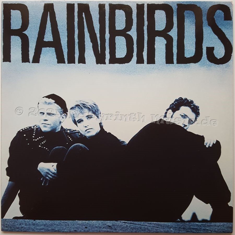 Rainbirds - Rainbirds • 12" Vinyl LP • NM - Labyrinth Music