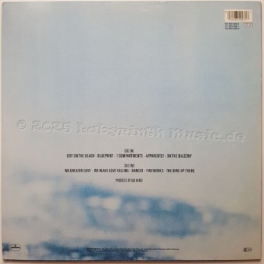 Rainbirds - Rainbirds • 12" Vinyl LP • NM - Labyrinth Music