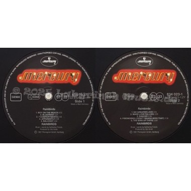 Rainbirds - Rainbirds • 12" Vinyl LP • NM - Labyrinth Music