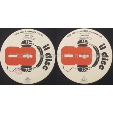 Gary Low - You Are A Danger • 12" Vinyl Maxi - Labyrinth Music