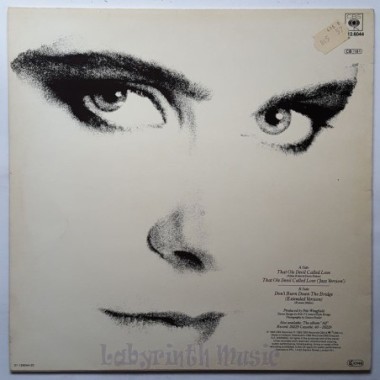 Alison Moyet - That Ole Devil Called Love • 12" Vinyl Maxi - Labyrinth Music