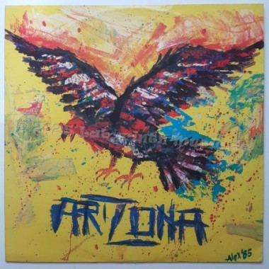 Riccardo Cioni - Arizona • 12" Vinyl Maxi • EX - Labyrinth Music