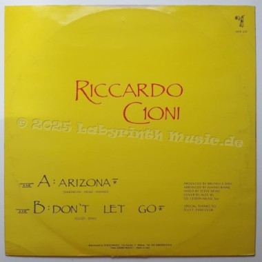Riccardo Cioni - Arizona • 12" Vinyl Maxi • EX - Labyrinth Music