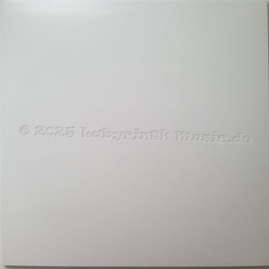 Savage - Don't Cry Tonight • 12" Vinyl Maxi • MINT - Labyrinth Music