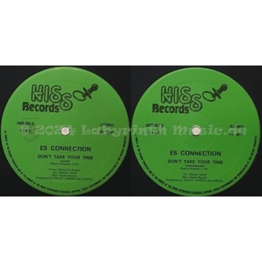 Es Connection - Don't Take Your Time • 12" Vinyl Maxi • NM - Labyrinth Music