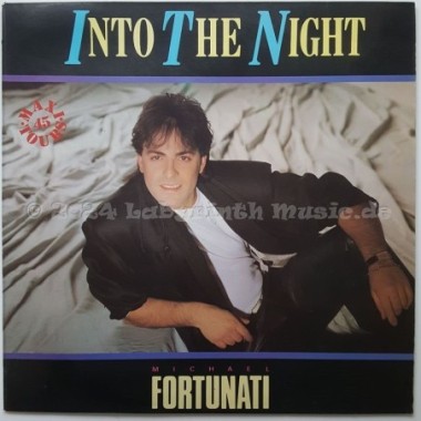 Michael Fortunati - Into The Night • 12" Vinyl Maxi • EX - Labyrinth Music