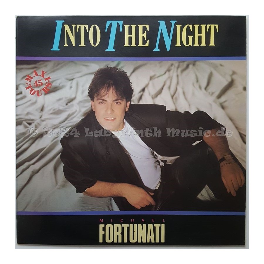 Michael Fortunati - Into The Night • 12" Vinyl Maxi • EX - Labyrinth Music