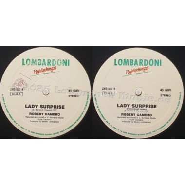 Robert Camero - Lady Surprise • 12" Vinyl Maxi • EX - Labyrinth Music