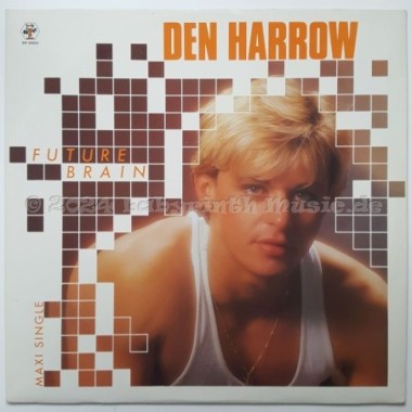 Den Harrow - Future Brain • 12" Vinyl Maxi • NM - Labyrinth Music