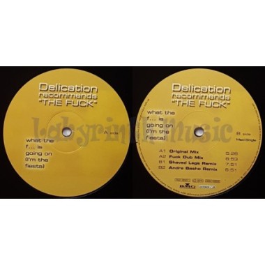 Delication Recommends The Fuck - What The F... Is Going On (I'm The Fiesta) • 12" Vinyl Maxi • NM - Labyrinth Music