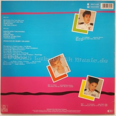 The Flirts - Made In America • 12" Vinyl LP • EX - Labyrinth Music