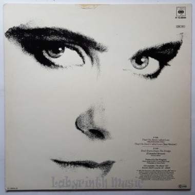 Alison Moyet - That Ole Devil Called Love • 12" Vinyl Maxi - Labyrinth Music