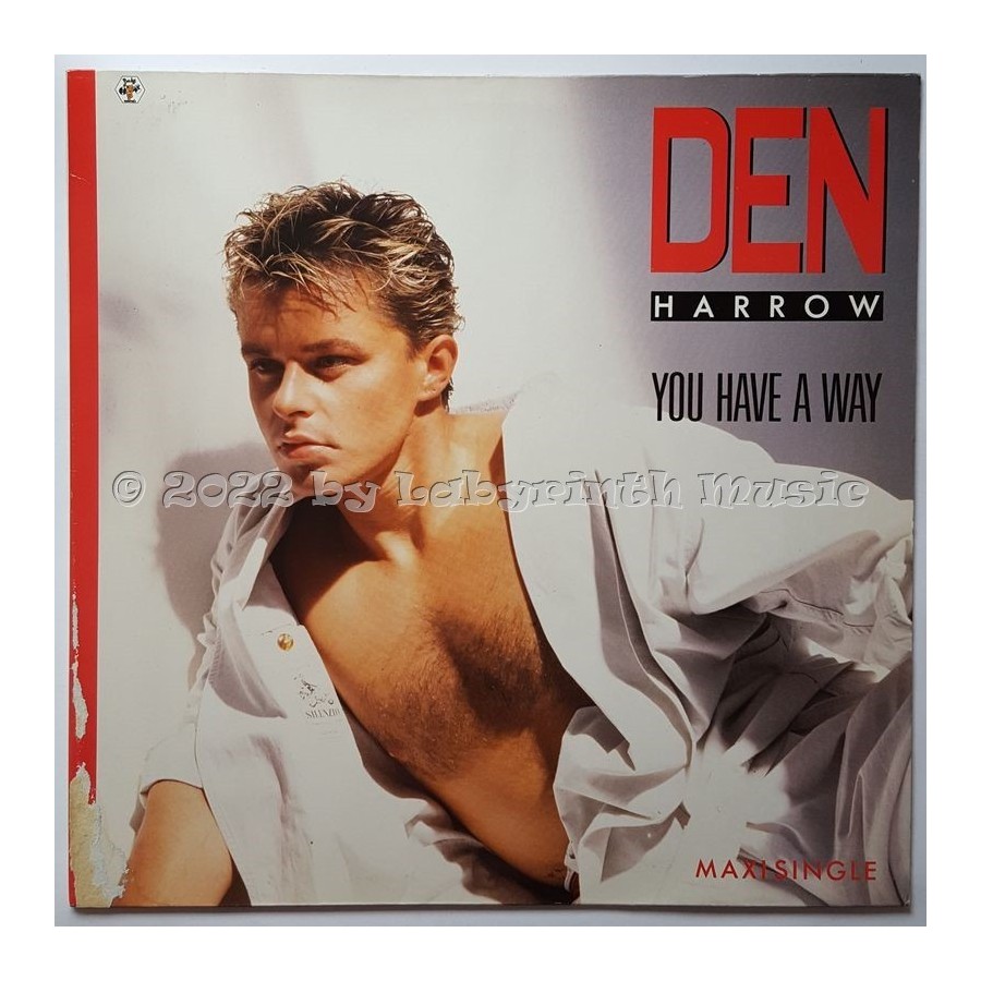 Den Harrow - You Have A Way • 12" Vinyl Maxi • EX - Labyrinth Music