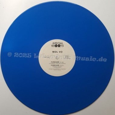 Wol Vo - Forever • 12" Vinyl Maxi • MINT - Labyrinth Music