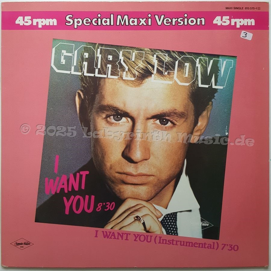 Gary Low - I Want You • 12" Vinyl Maxi • EX - Labyrinth Music