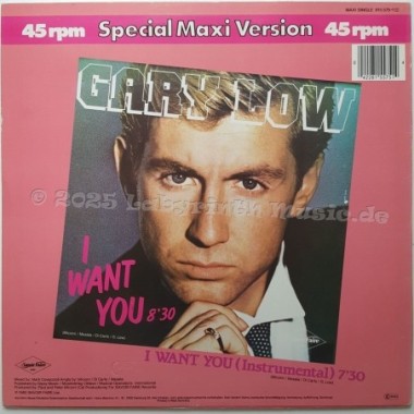 Gary Low - I Want You • 12" Vinyl Maxi • EX - Labyrinth Music