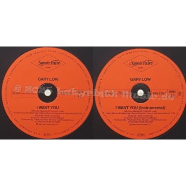 Gary Low - I Want You • 12" Vinyl Maxi • EX - Labyrinth Music