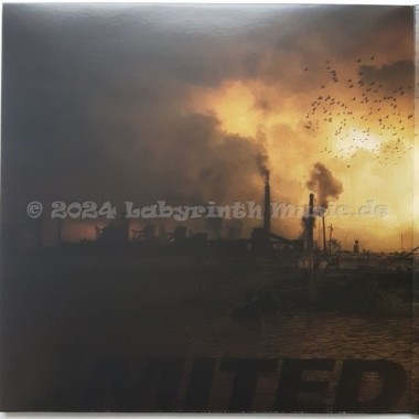 Mike Franzis Age - Shocked • 12" Vinyl Maxi • MINT - Labyrinth Music