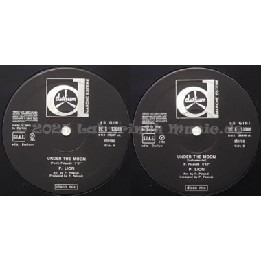 P. Lion - Under The Moon • 12" Vinyl Maxi • NM - Labyrinth Music