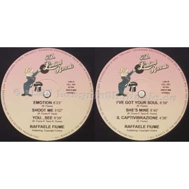 Raffaele Fiume - Emotion • 12" Vinyl LP • NM - Labyrinth Music