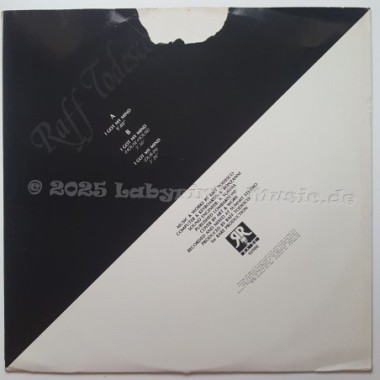 Raff Todesco - I Got My Mind • 12" Vinyl Maxi - Labyrinth Music