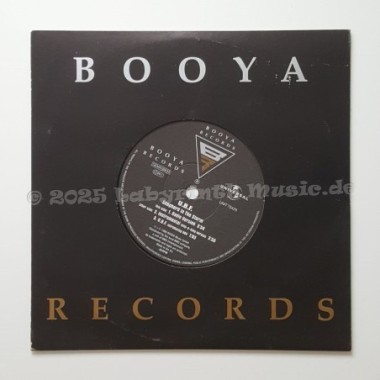 United Booya Family - Shepherd In The Storm • 7" Vinyl • EX - Labyrinth Music