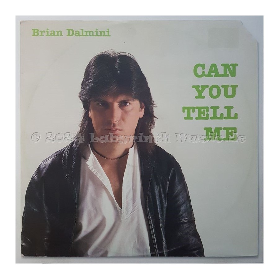 Brian Dalmini - Can You Tell Me • 12" Vinyl Maxi • EX - Labyrinth Music