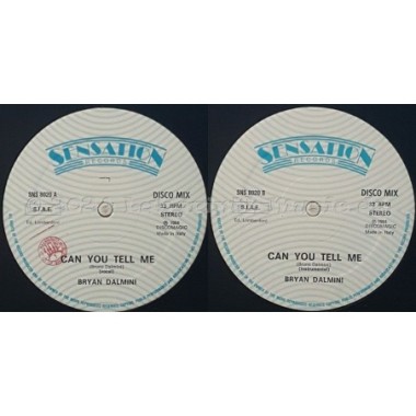 Brian Dalmini - Can You Tell Me • 12" Vinyl Maxi • EX - Labyrinth Music