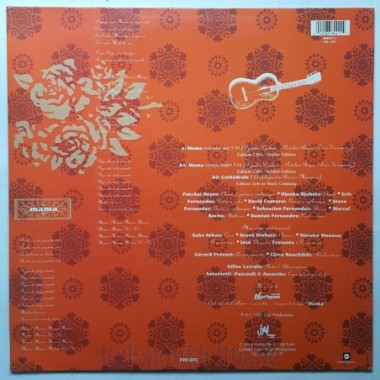 Alma De Noche Feat. Djanka Diabate - Mama • 12" Vinyl Maxi • MINT - Labyrinth Music