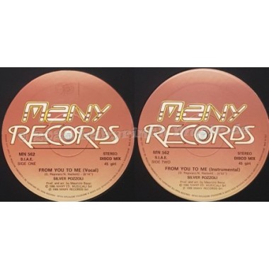 Silver Pozzoli - From You To Me • 12" Vinyl Maxi • NM - Labyrinth Music