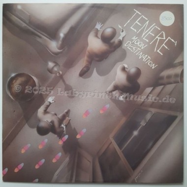 Teneré - Moon Destination • 12" Vinyl Maxi • EX - Labyrinth Music