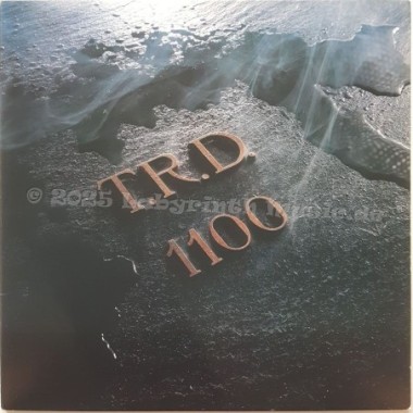 Various - T.R.D. 1100 • 12" Vinyl LP • NM - Labyrinth Music