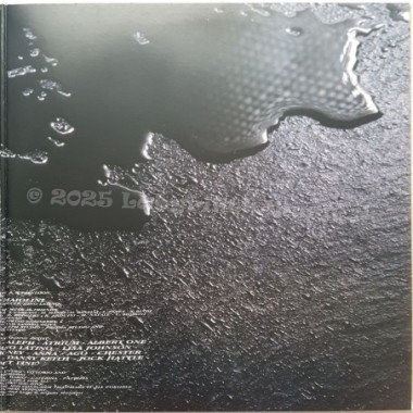 Various - T.R.D. 1100 • 12" Vinyl LP • NM - Labyrinth Music