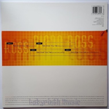 Diana Ross - Not Over You Yet • 12" Vinyl Maxi • NM - Labyrinth Music