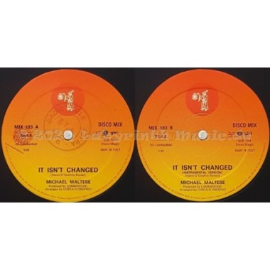 Michael Maltese - It Isn't Changed • 12" Vinyl Maxi - Labyrinth Music