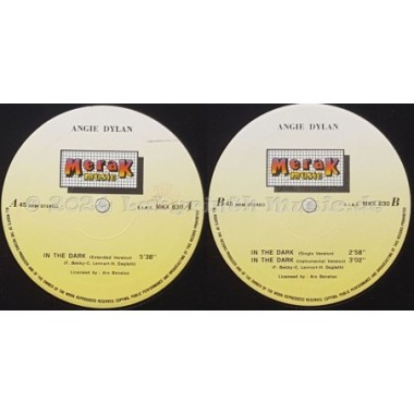 Angie Dylan - In The Dark • 12" Vinyl Maxi • EX - Labyrinth Music
