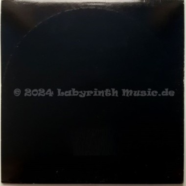 The Creatures - Where You Are • 12" Vinyl Maxi • EX - Labyrinth Music