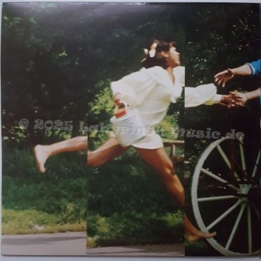 The 5th Dimension - The 5th Dimension Story • 12" Vinyl LP • MINT - Labyrinth Music