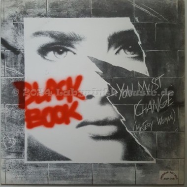 Black Book - You Must Change (Mistery Woman) • 12" Vinyl Maxi • NM - Labyrinth Music