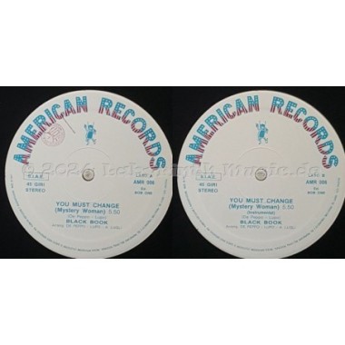 Black Book - You Must Change (Mistery Woman) • 12" Vinyl Maxi • NM - Labyrinth Music