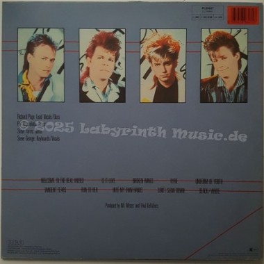 Mr. Mister - Welcome To The Real World • 12" Vinyl LP - Labyrinth Music