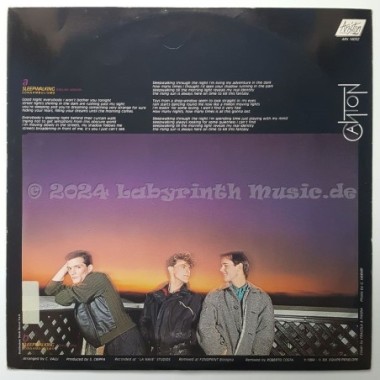 Canton - Sleepwalking • 12" Vinyl Maxi - Labyrinth Music