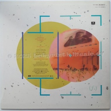 Duran Duran - The Wild Boys • 12" Vinyl Maxi • MINT - Labyrinth Music