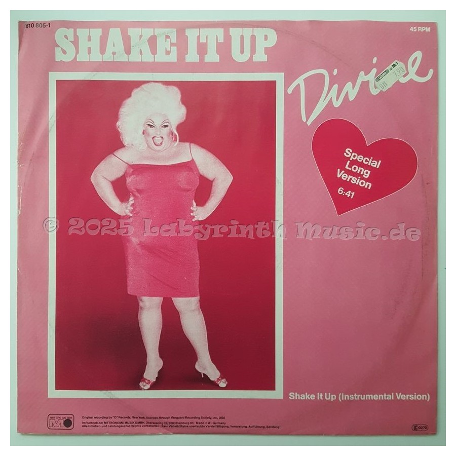 Divine - Shake It Up • Special Long Version • 12" Vinyl Maxi • EX - Labyrinth Music